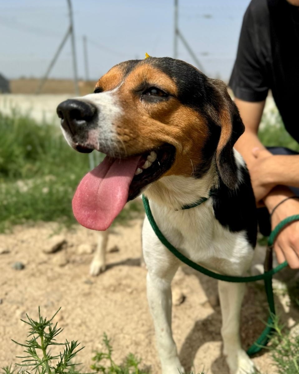 517025919_745089591367554_7070412360689713550_n