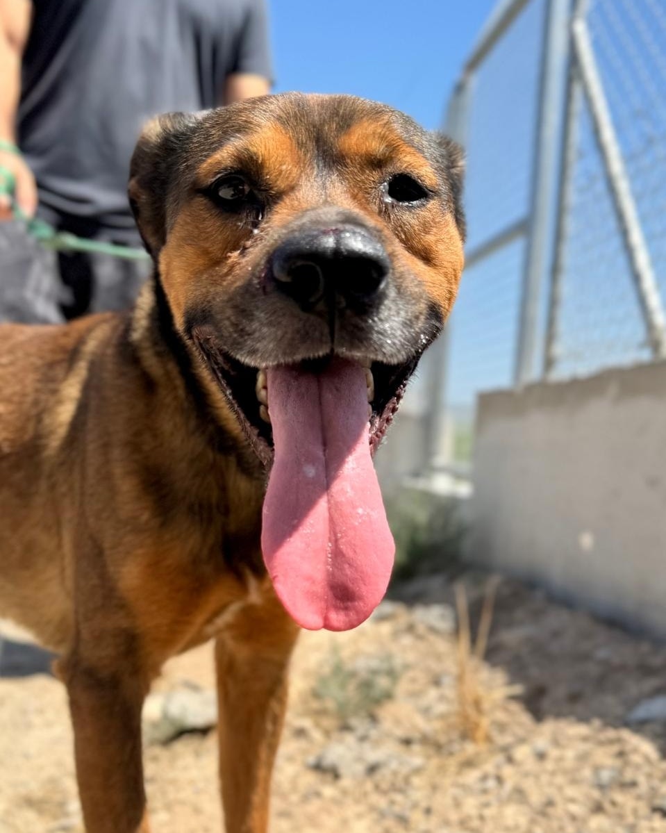 517124762_745071884702658_2595775575778519710_n