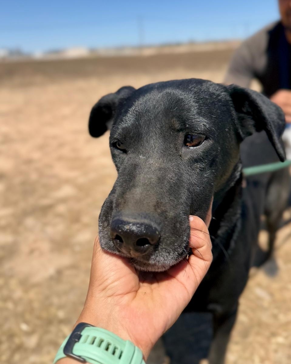 517313228_745092651367248_3033525053026476153_n