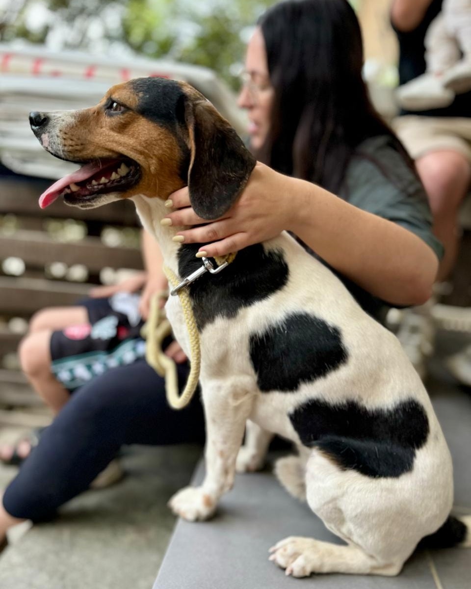 517360234_745089561367557_1203243223144610731_n