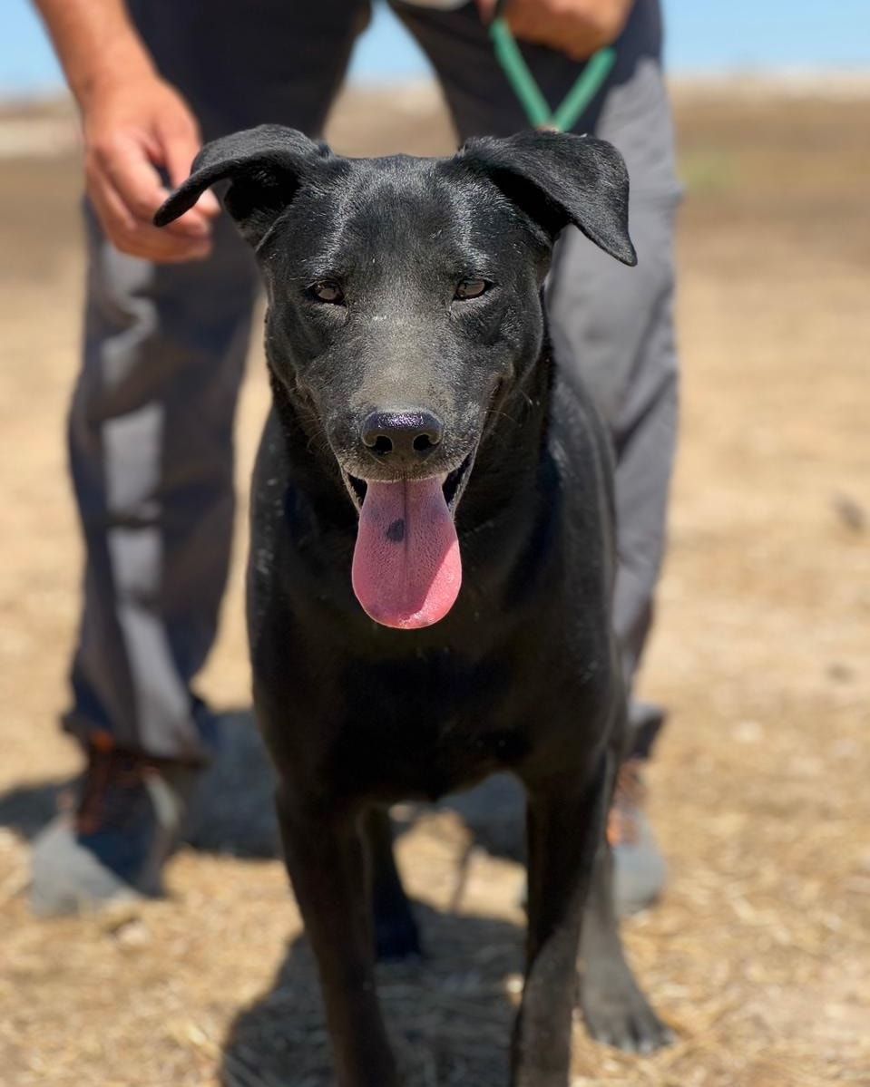 517447047_745092631367250_897667587456363594_n