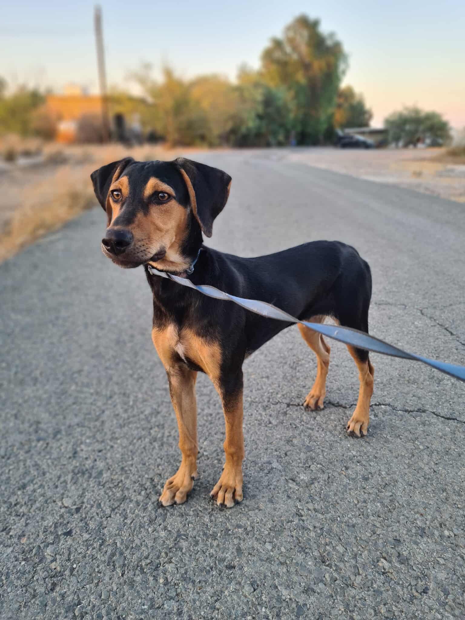 517474512_1159522522883398_1320900475860126531_n