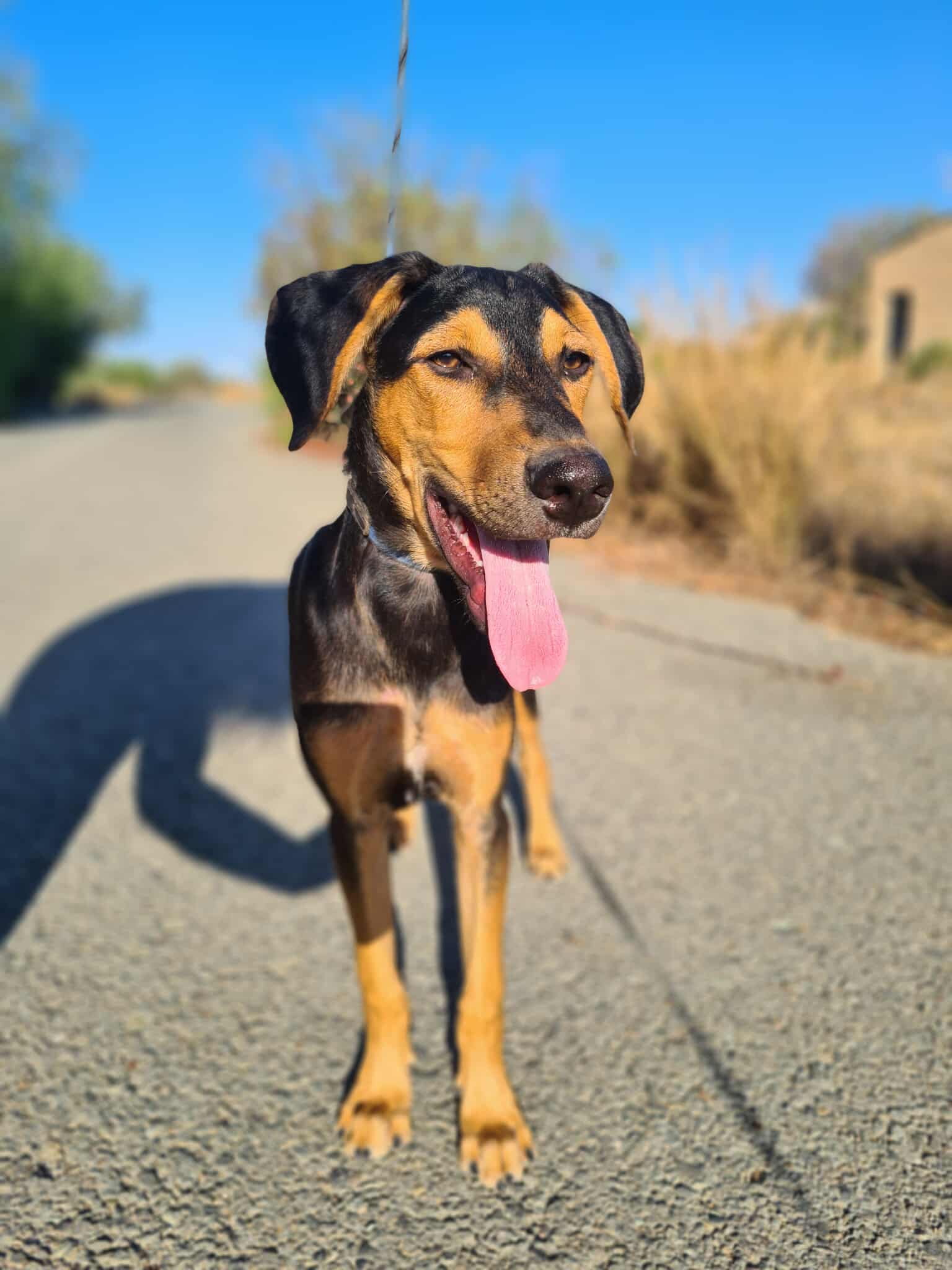 517692608_1159522519550065_1919530422134010492_n