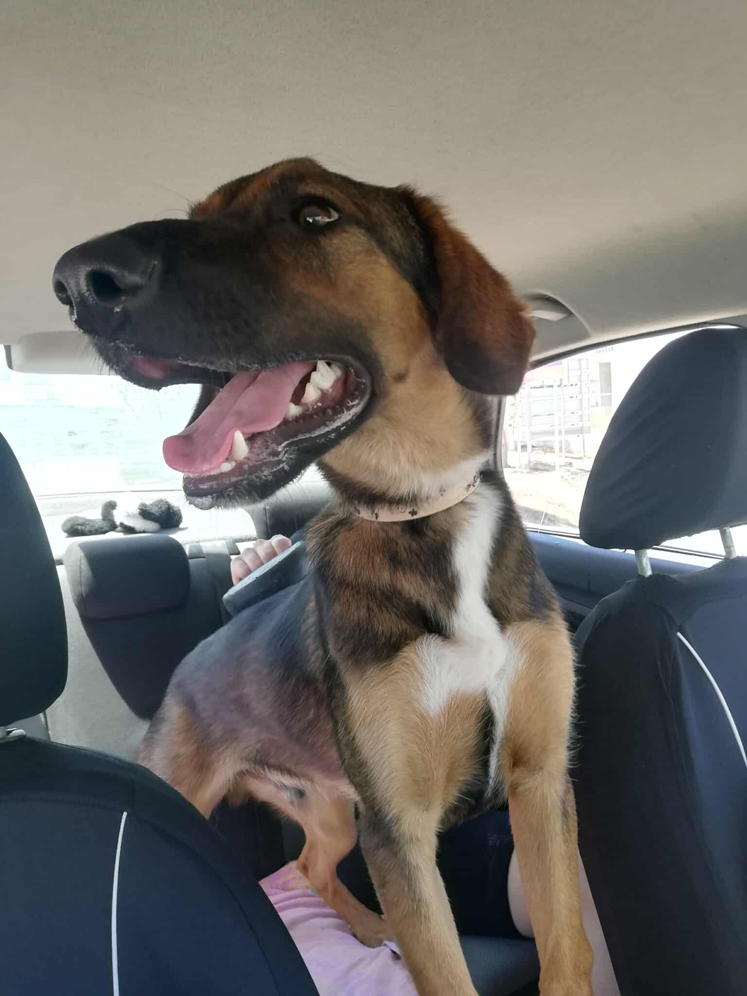 517717379_803528495330954_4924727079943405591_n-1