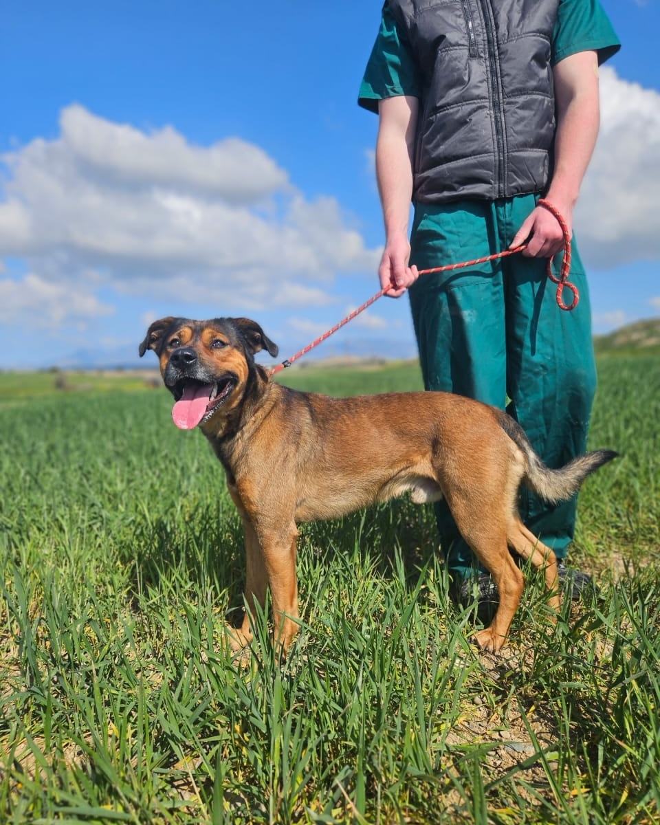 518134455_745071911369322_2912889852603203590_n