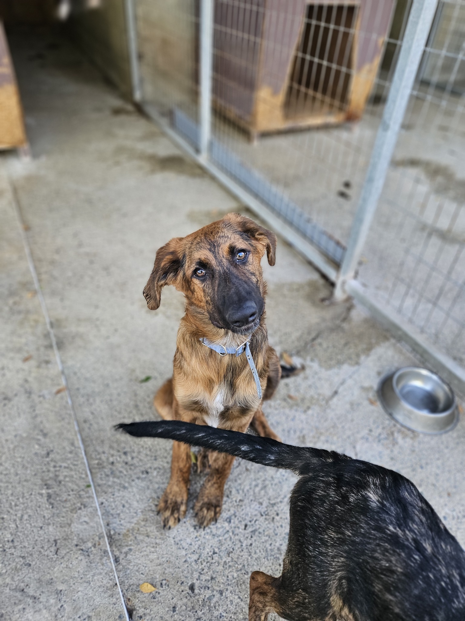 519529926_1166425005526483_385506520735711347_n