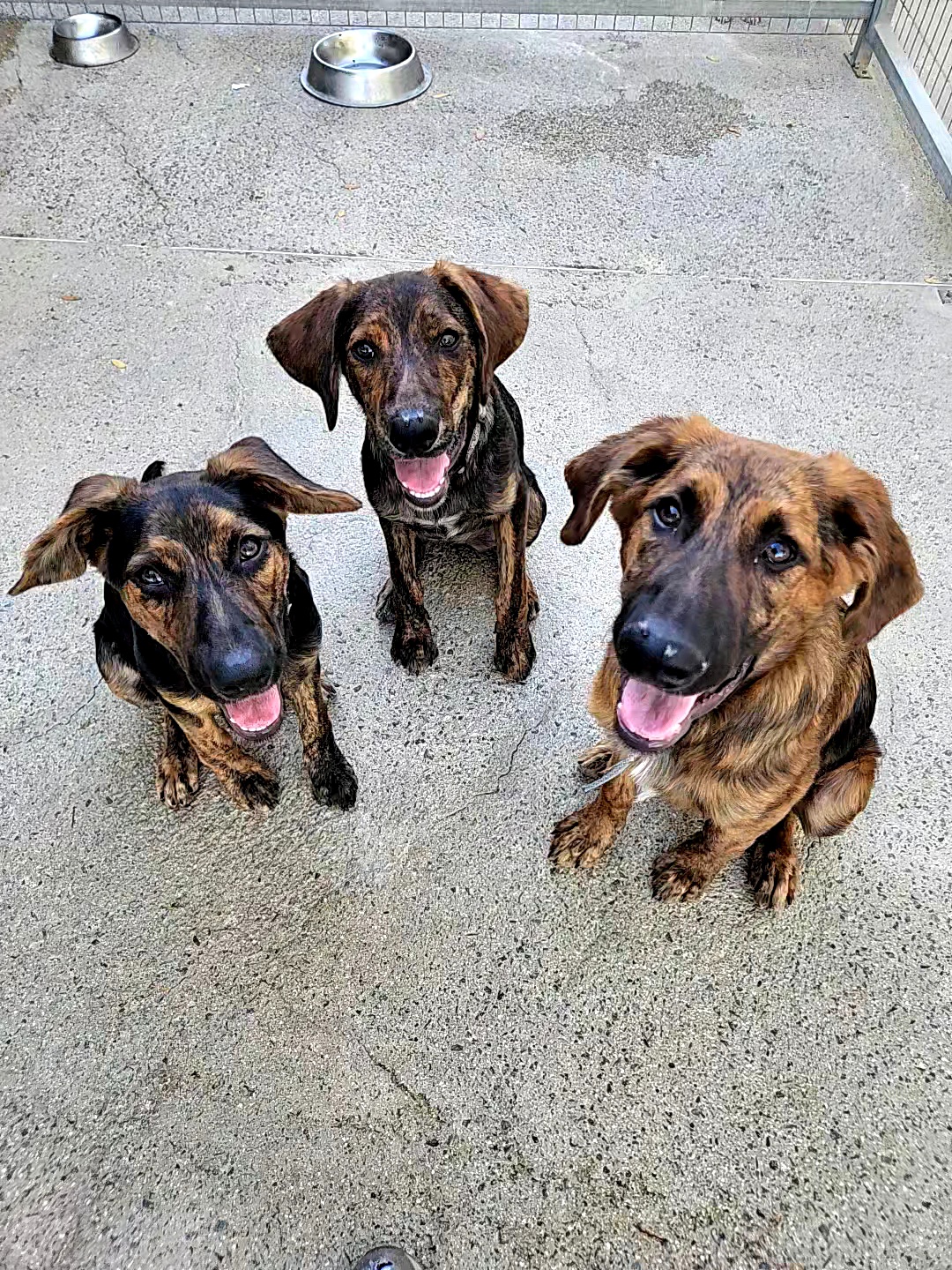 519726053_1166425275526456_5740470363101787452_n