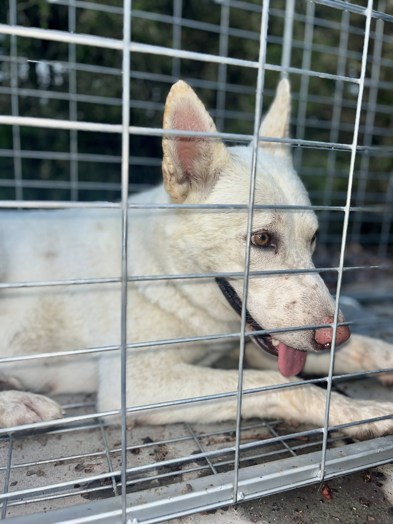 522659403_122255092418035465_4918838637304029949_n