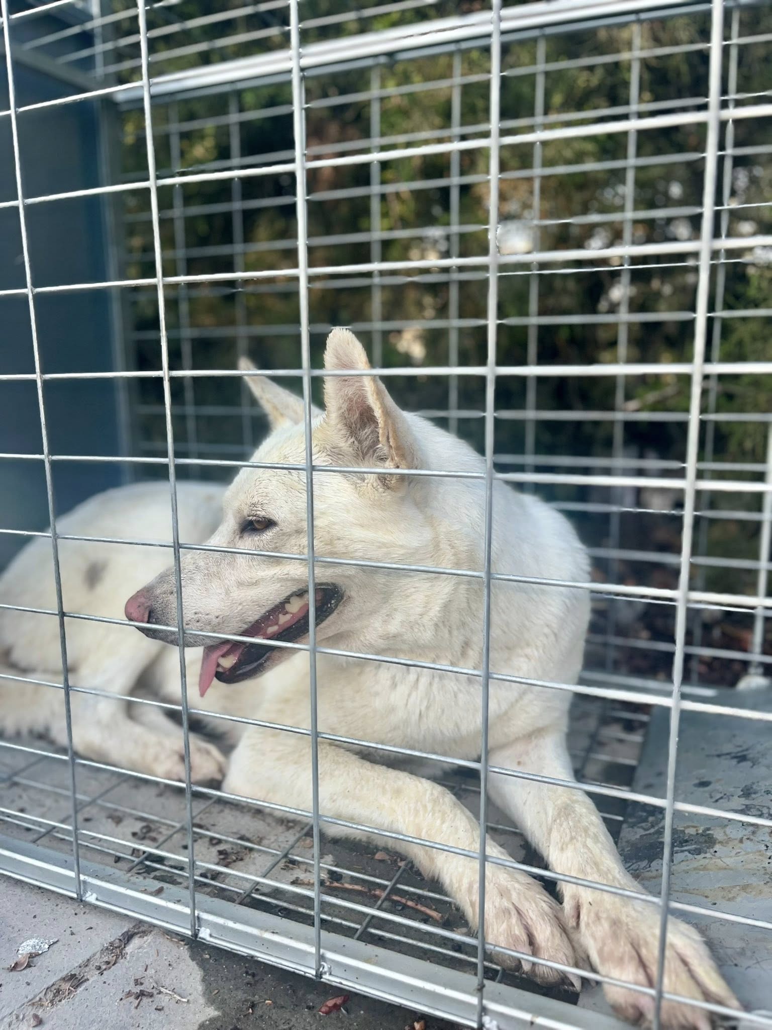 523099072_122255092430035465_2762013515430469665_n