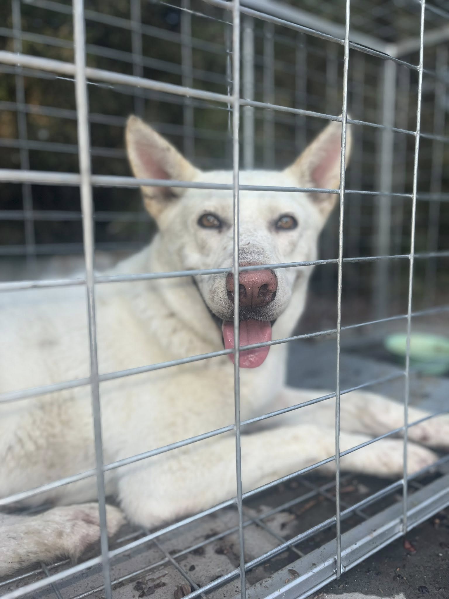 523171578_122255092406035465_5765138238437353772_n