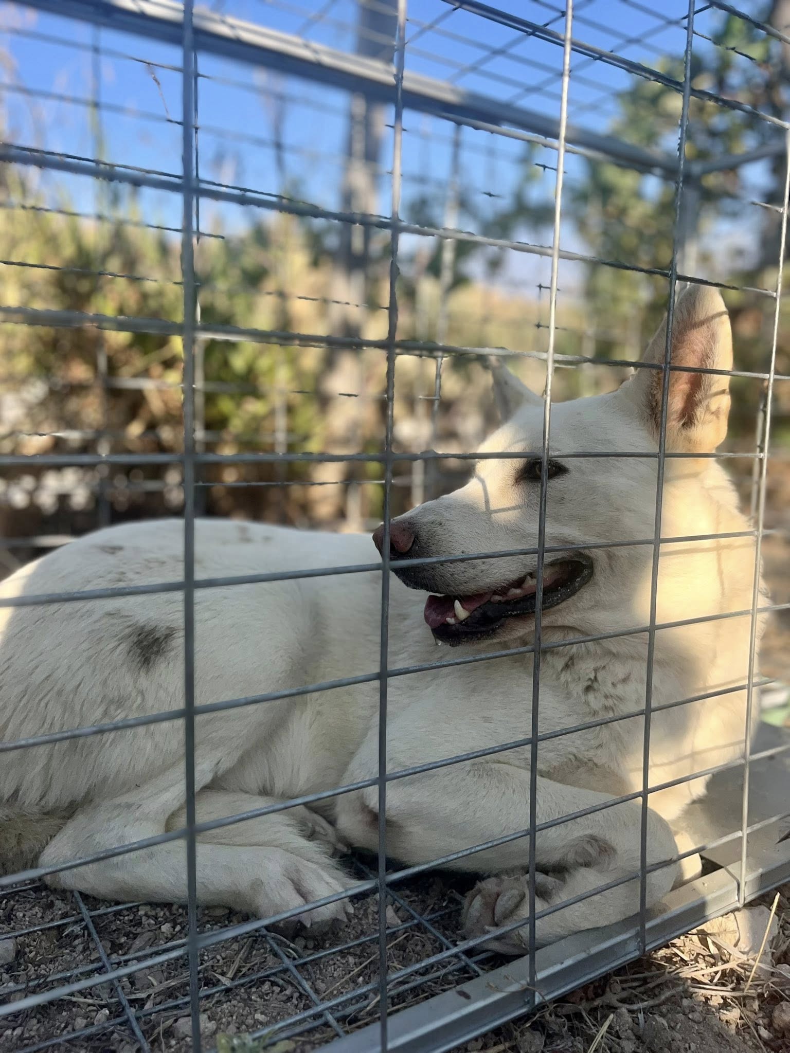 523195680_122255092394035465_8255941861545677654_n