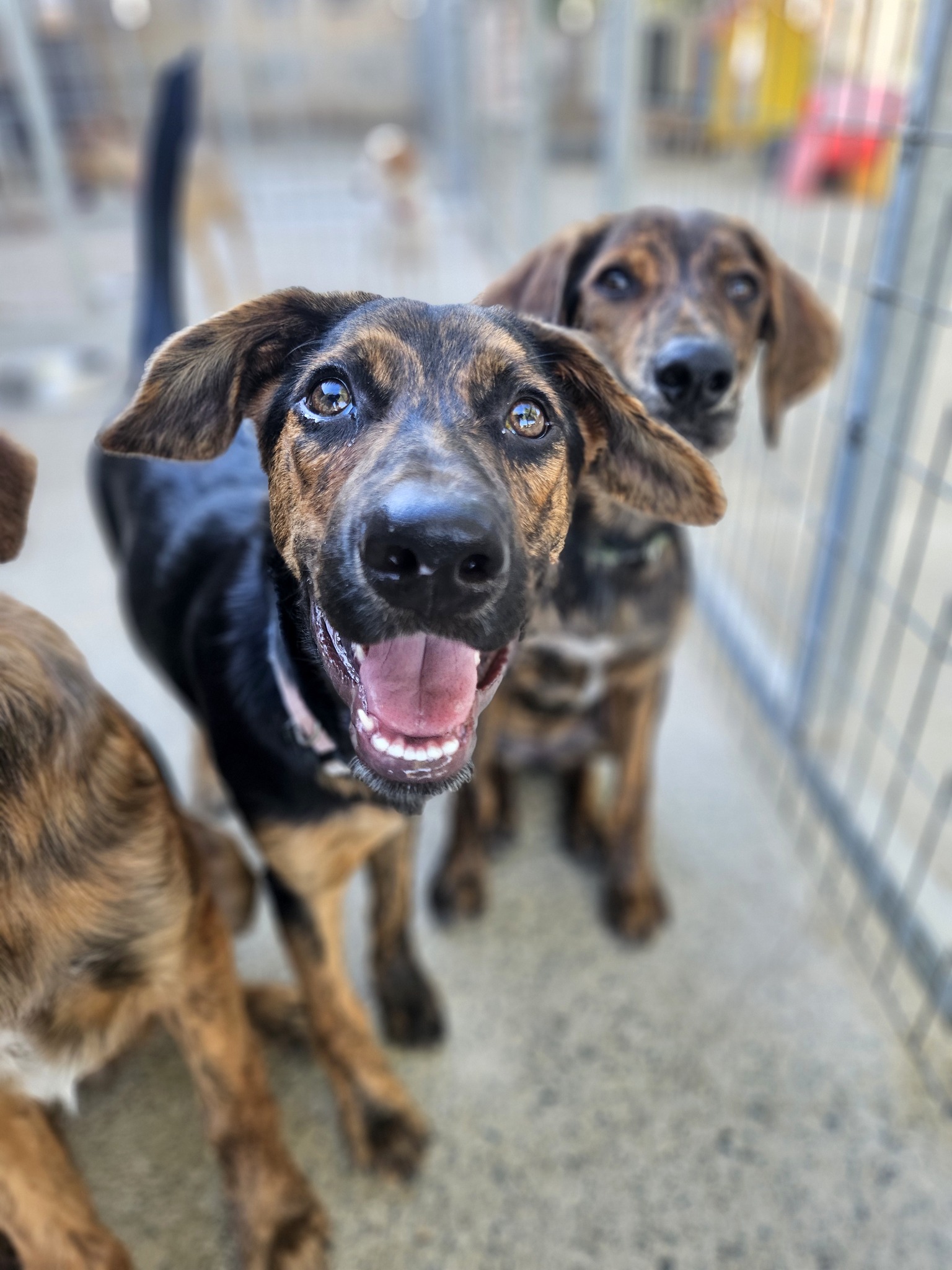 525060085_1172130934955890_8405515587118082973_n