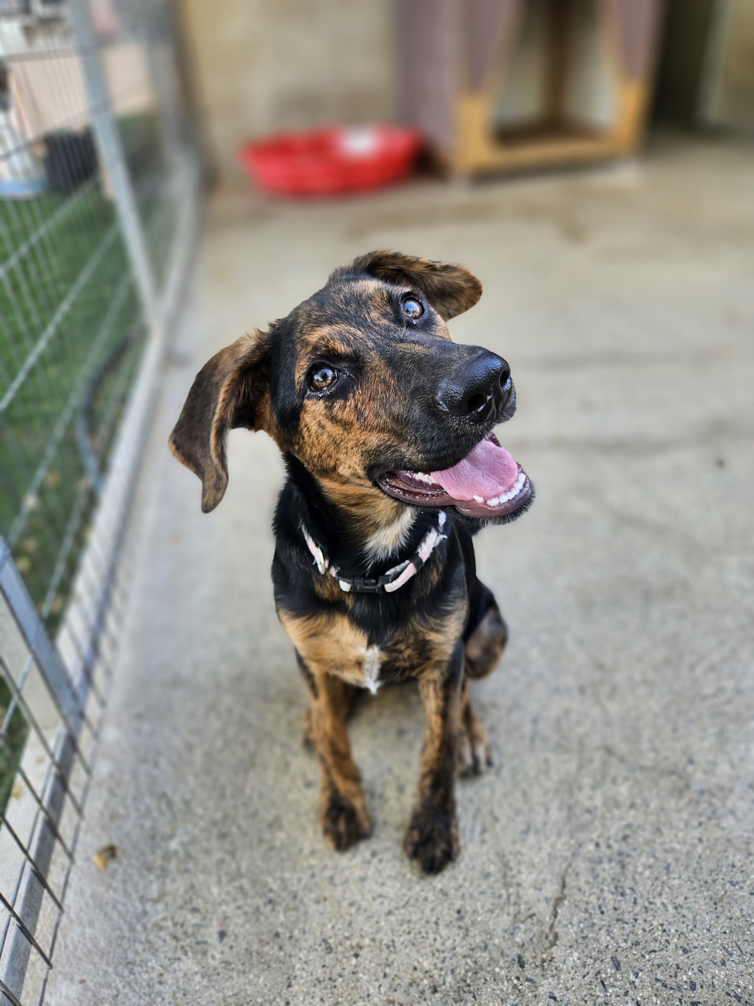 525211838_1172131021622548_4284335520569712340_n