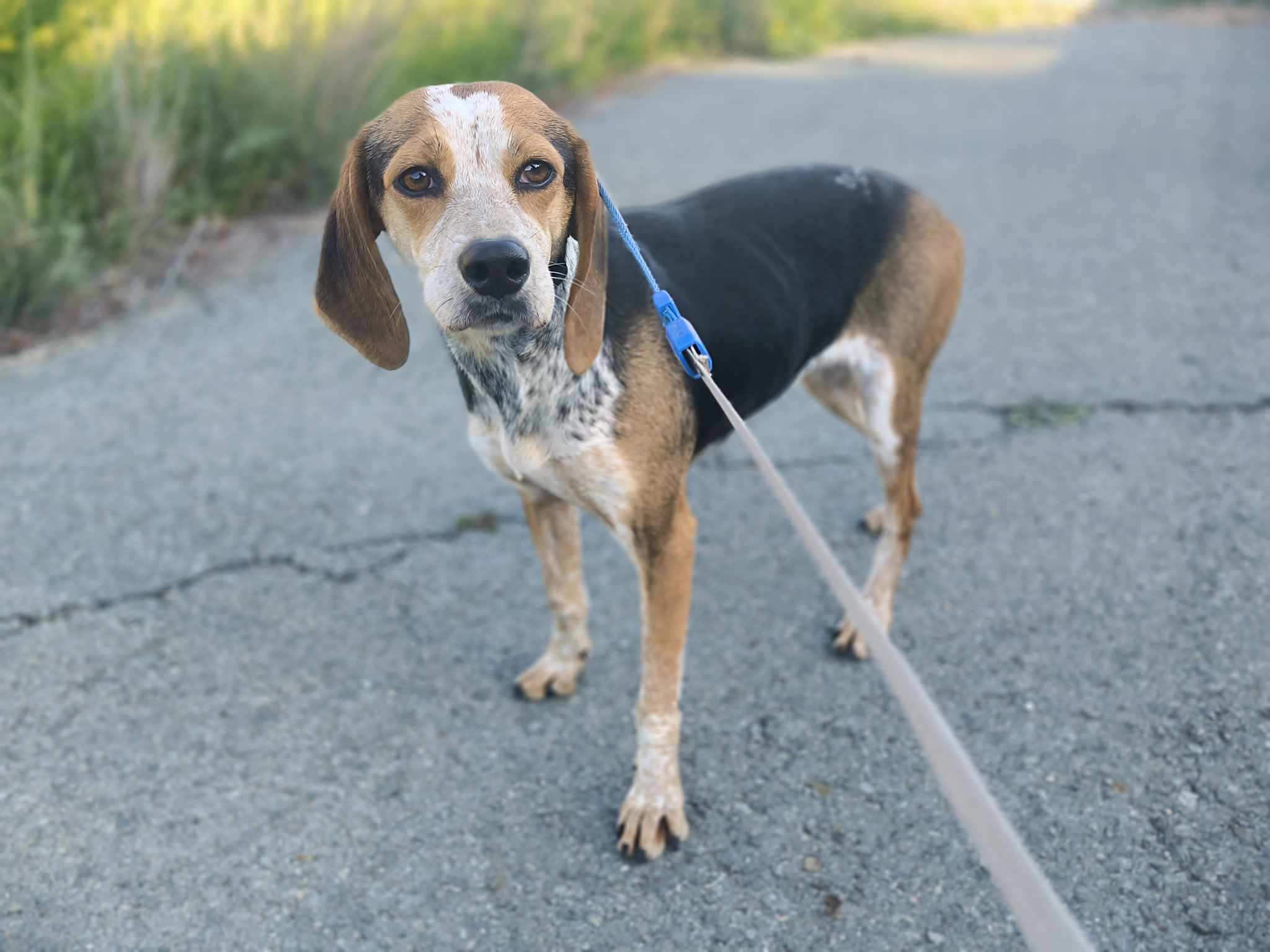 525584320_1172112331624417_8987136044836482467_n