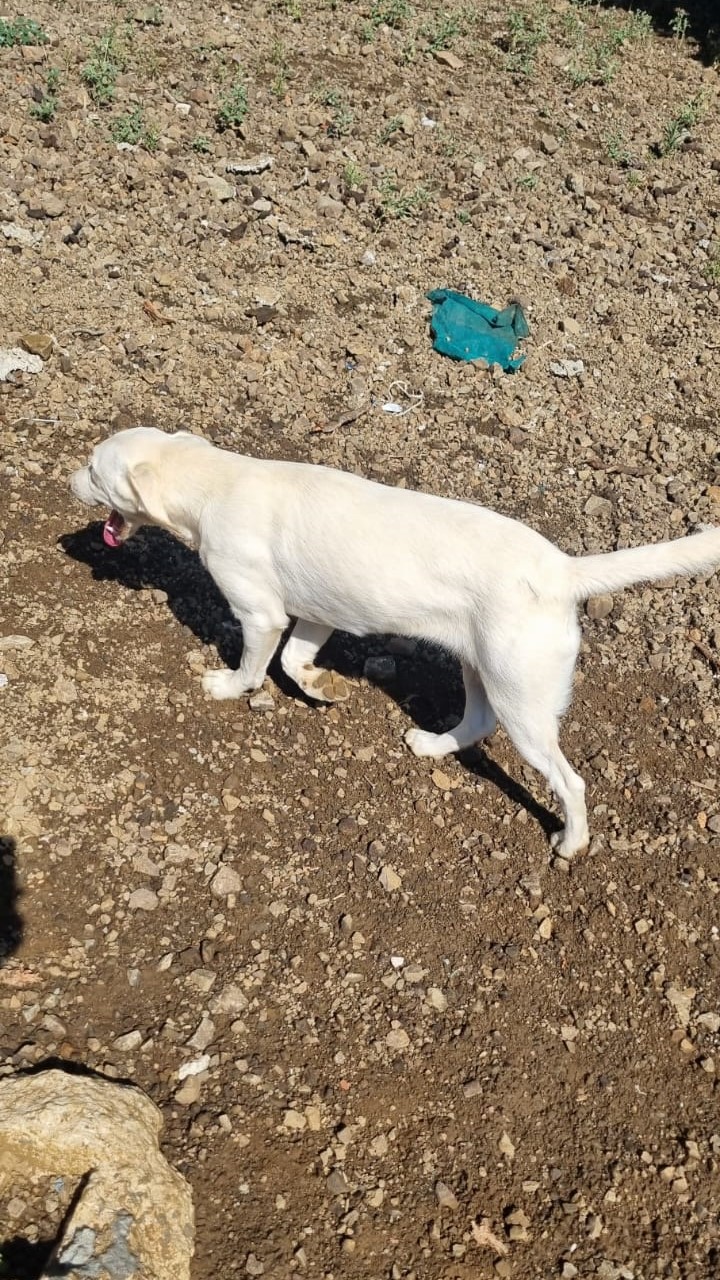 6dd5c935-3a68-466e-b1c3-28c285ad97f1