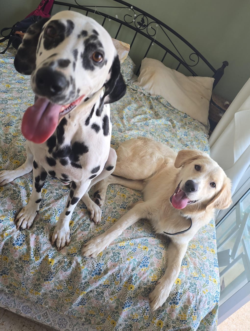 982762e7-8a76-4a61-8b7f-2903b4f23bff