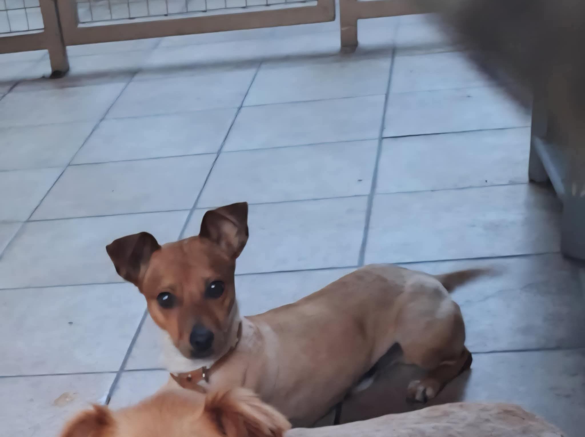 FB_IMG_1753973196983