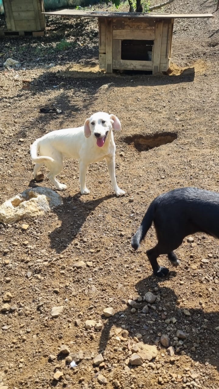 c9c26e63-c52b-493c-9b50-35a1ec001048-1