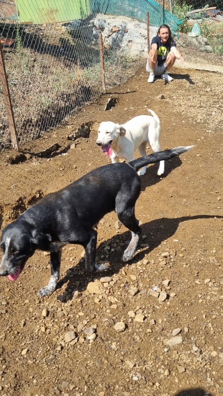 ffaae738-79b5-4c99-9de6-6c7170327e5f