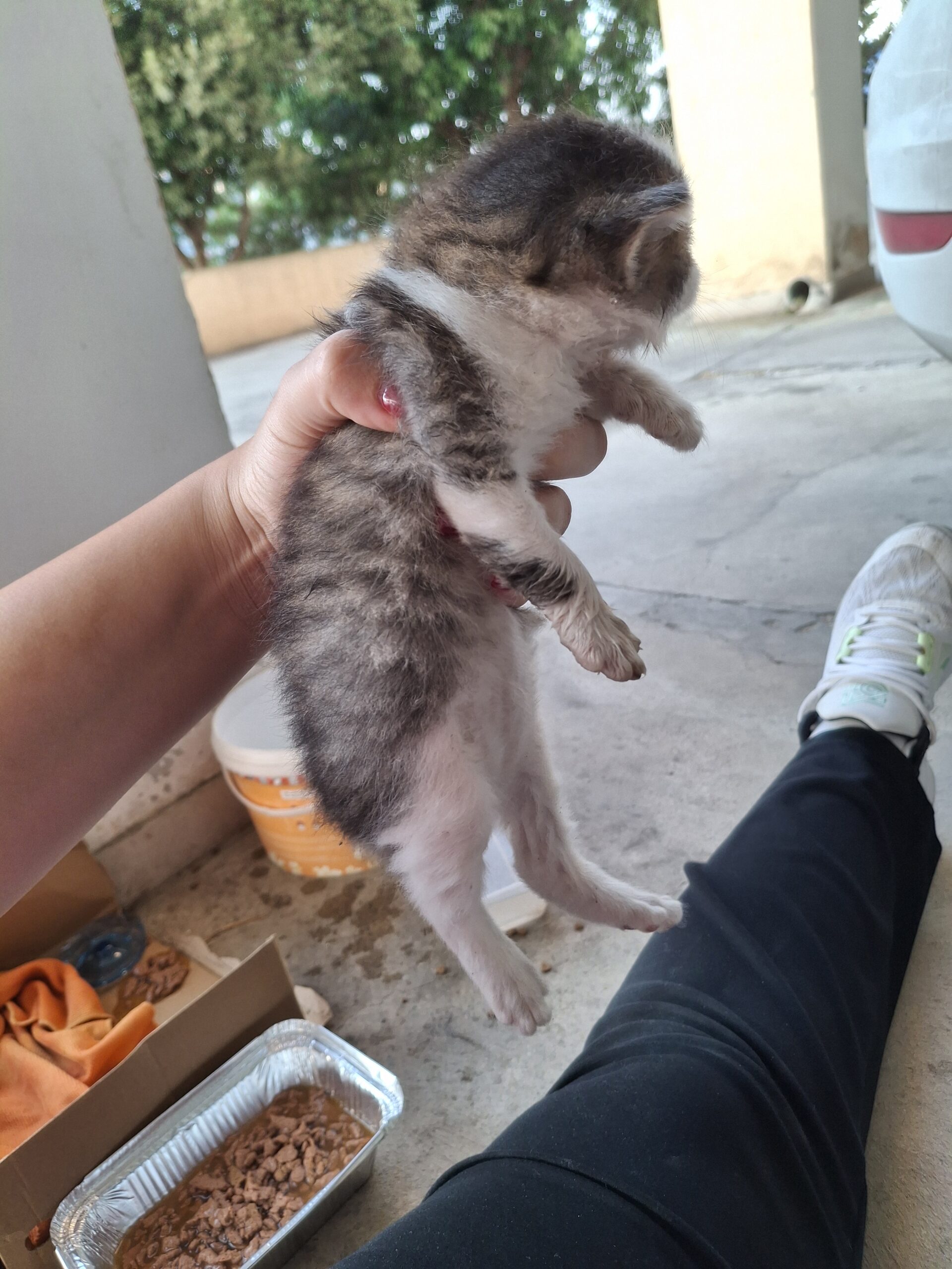 inbound186700728469202992