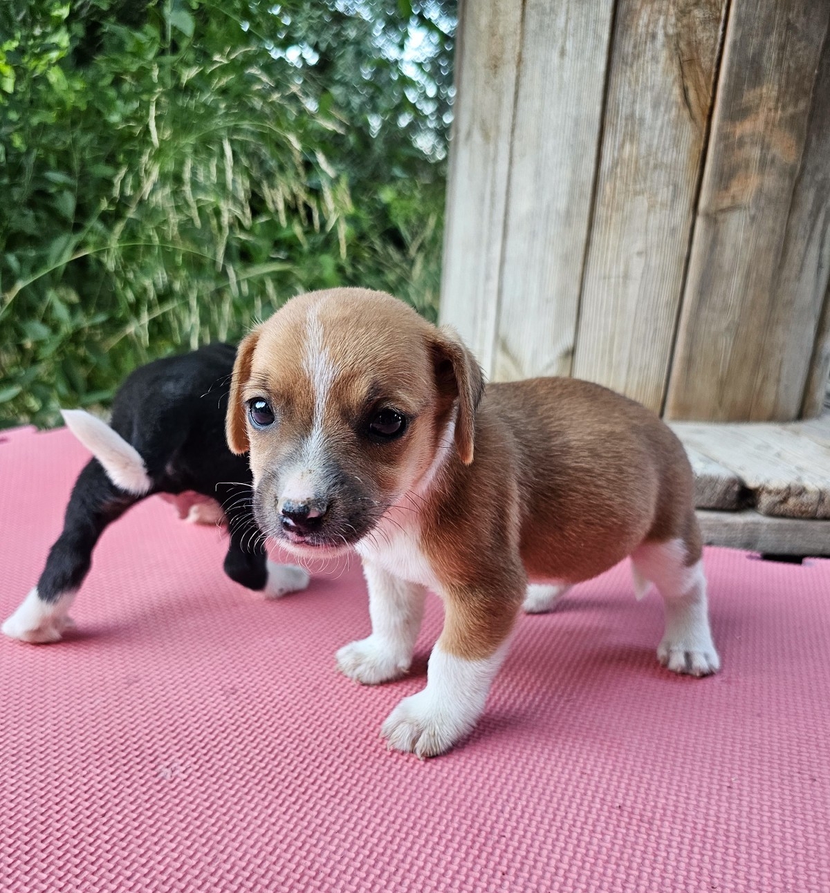 inbound5448752134397592886