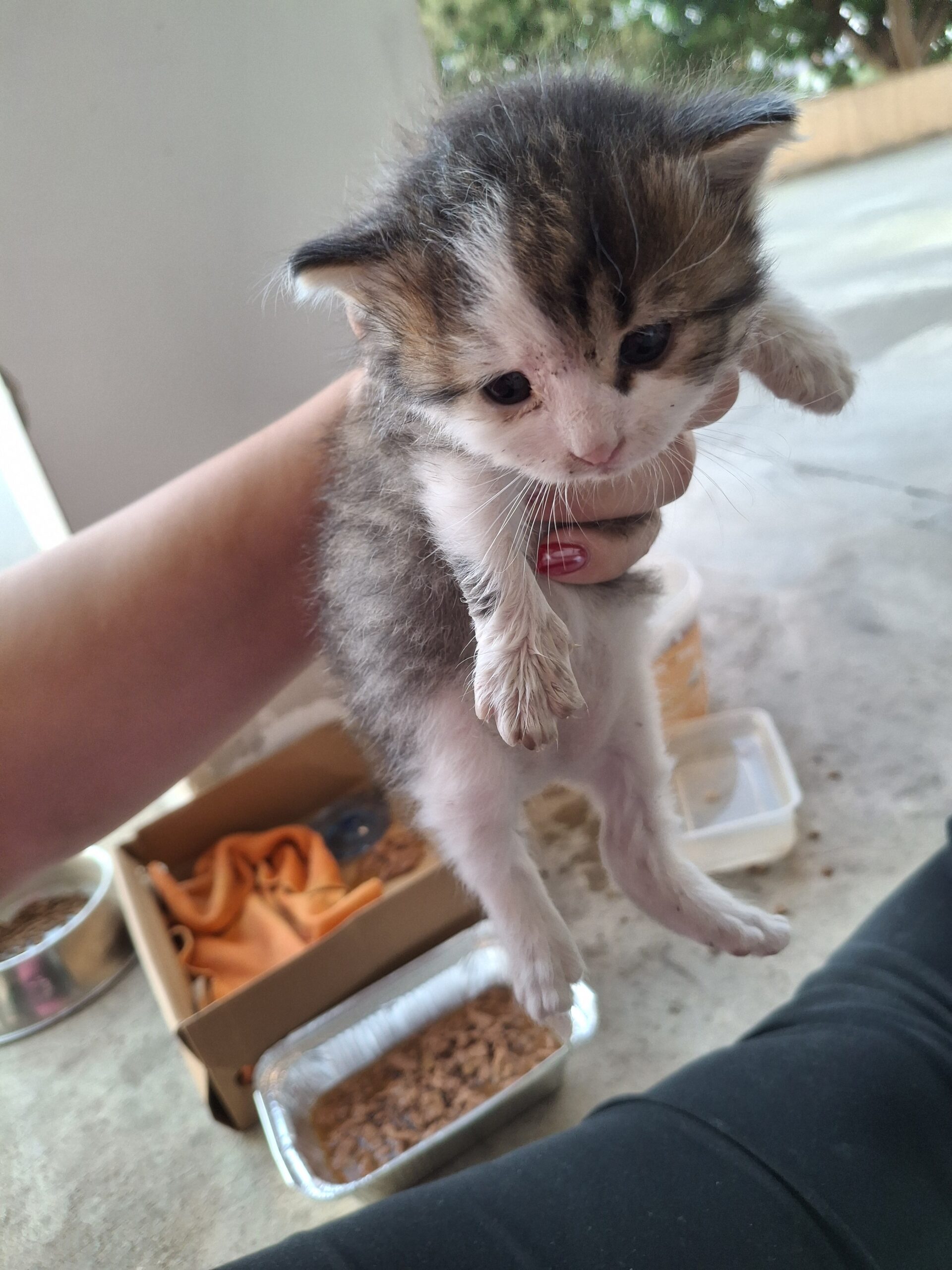 inbound8652316273118156506