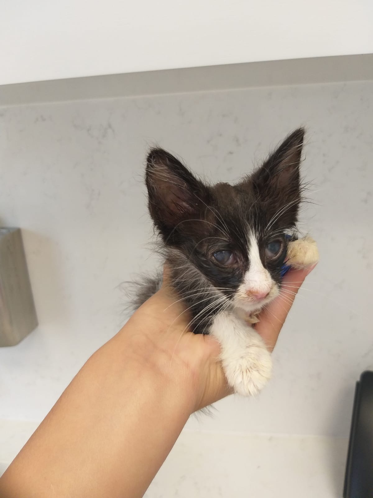 44ec41dd-9784-4fbd-a8fe-50518a936a17