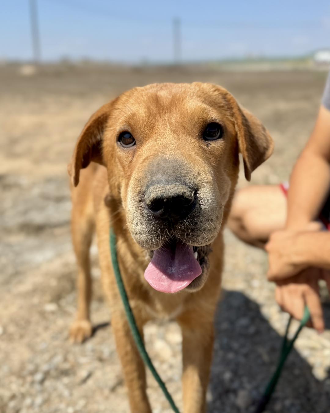 518399491_768922558984257_120654950724208812_n