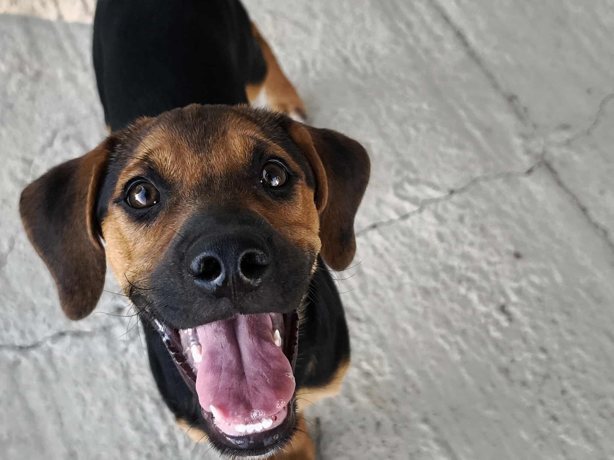 528421123_1180399770795673_7529694484483851241_n