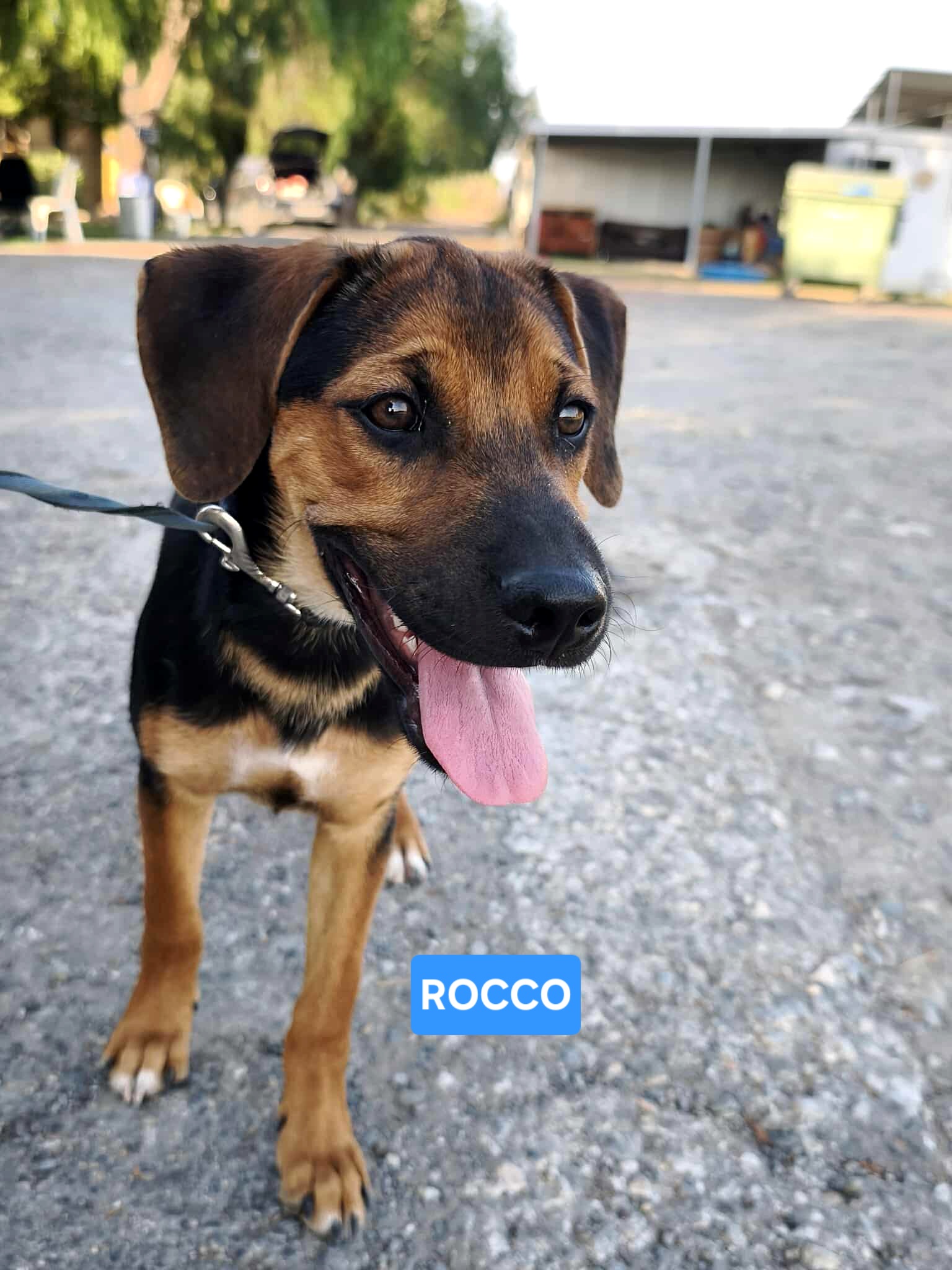 529752078_1180398114129172_7313901778262856206_n