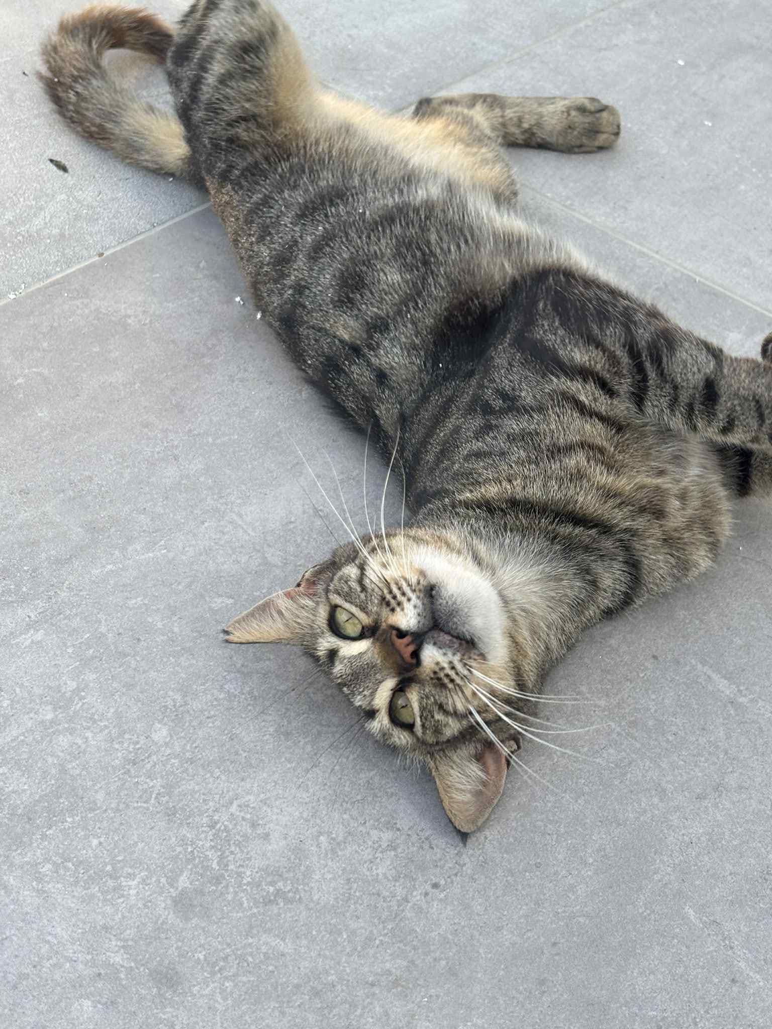 530273273_829767462707057_6989828245085573324_n