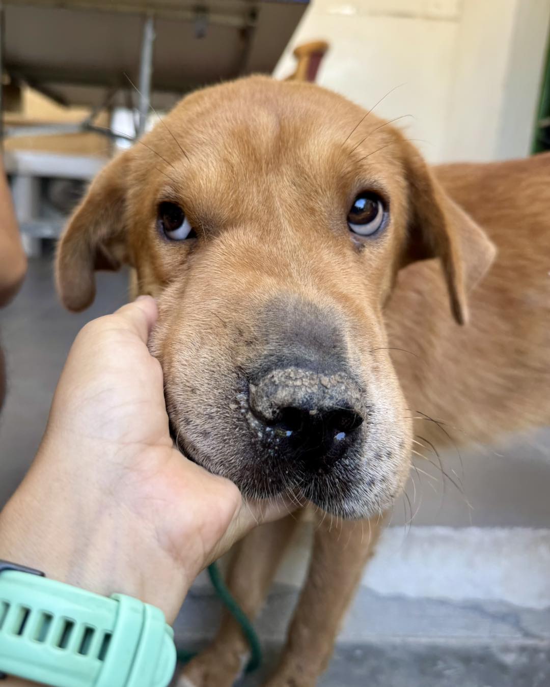 530395636_768922612317585_3702537529621911287_n