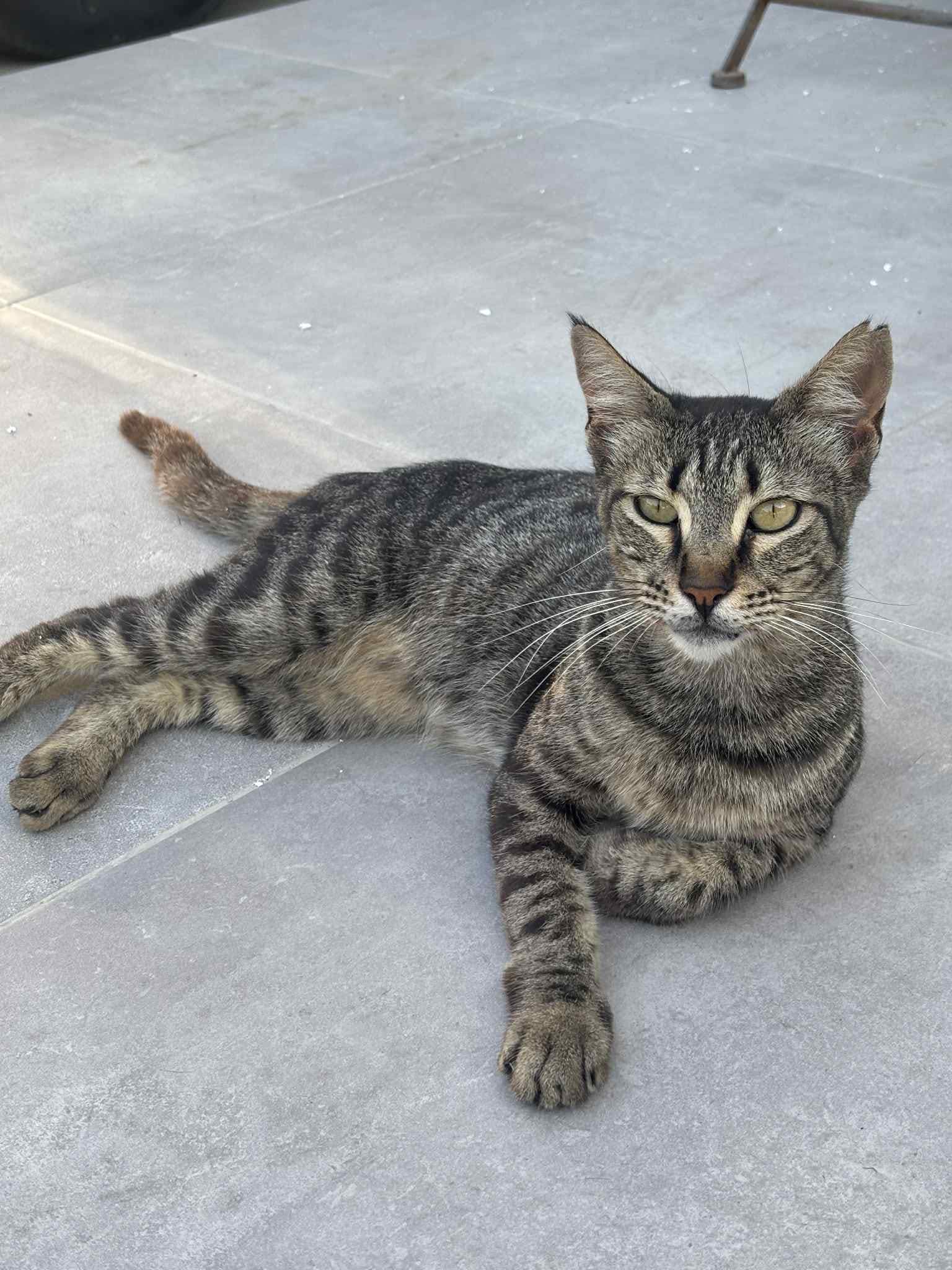 530440948_829767486040388_9047118163736501350_n