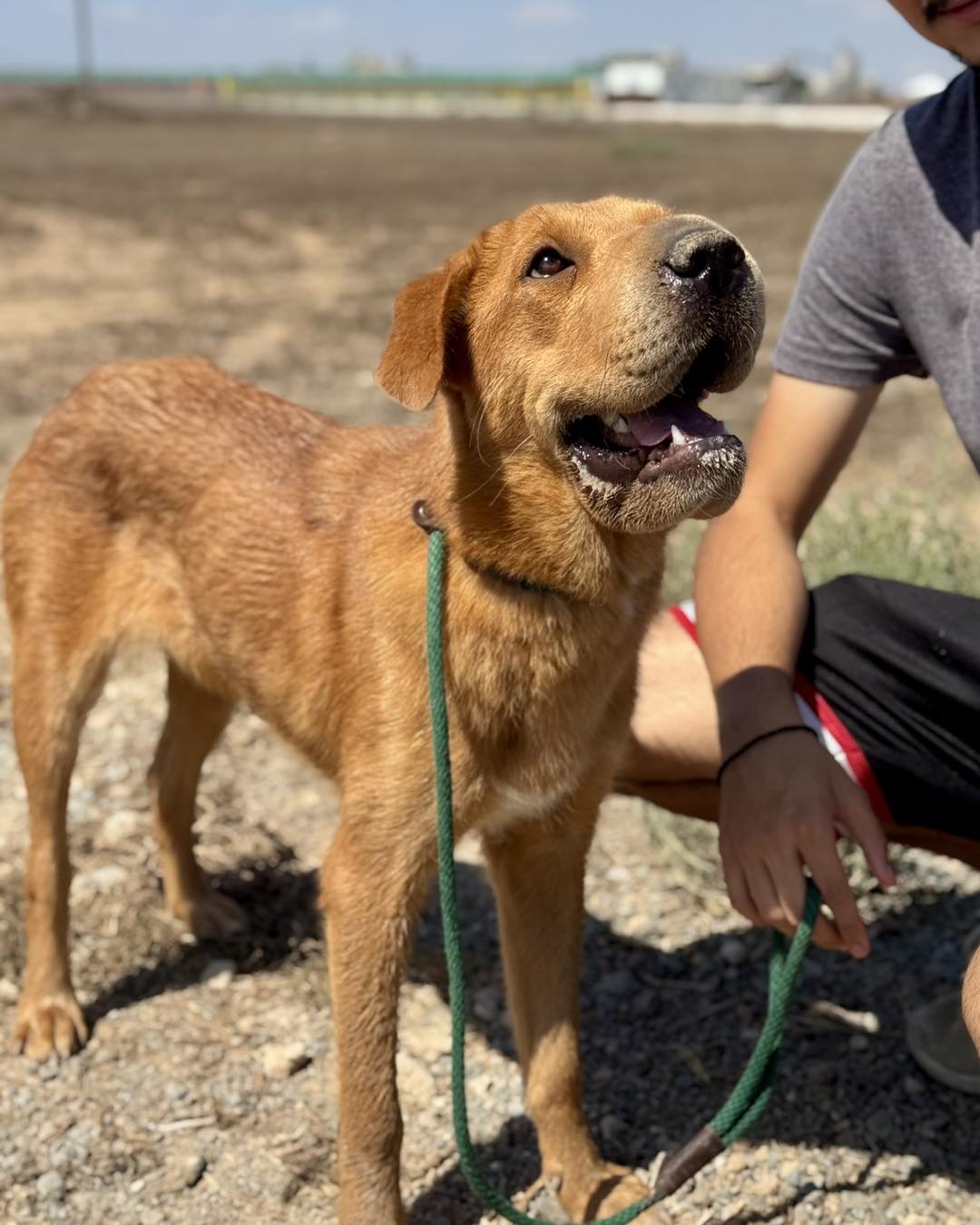 530920004_768922572317589_8269657058580577210_n