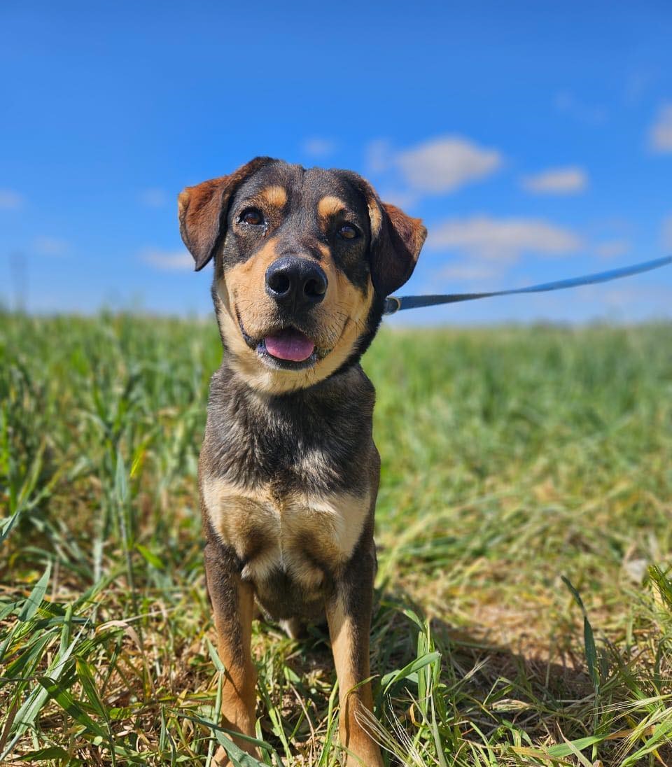 536270499_776063494936830_5364588253225118515_n