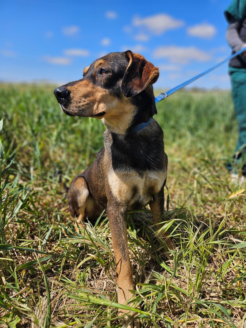 536271730_776063534936826_1399562767013401721_n