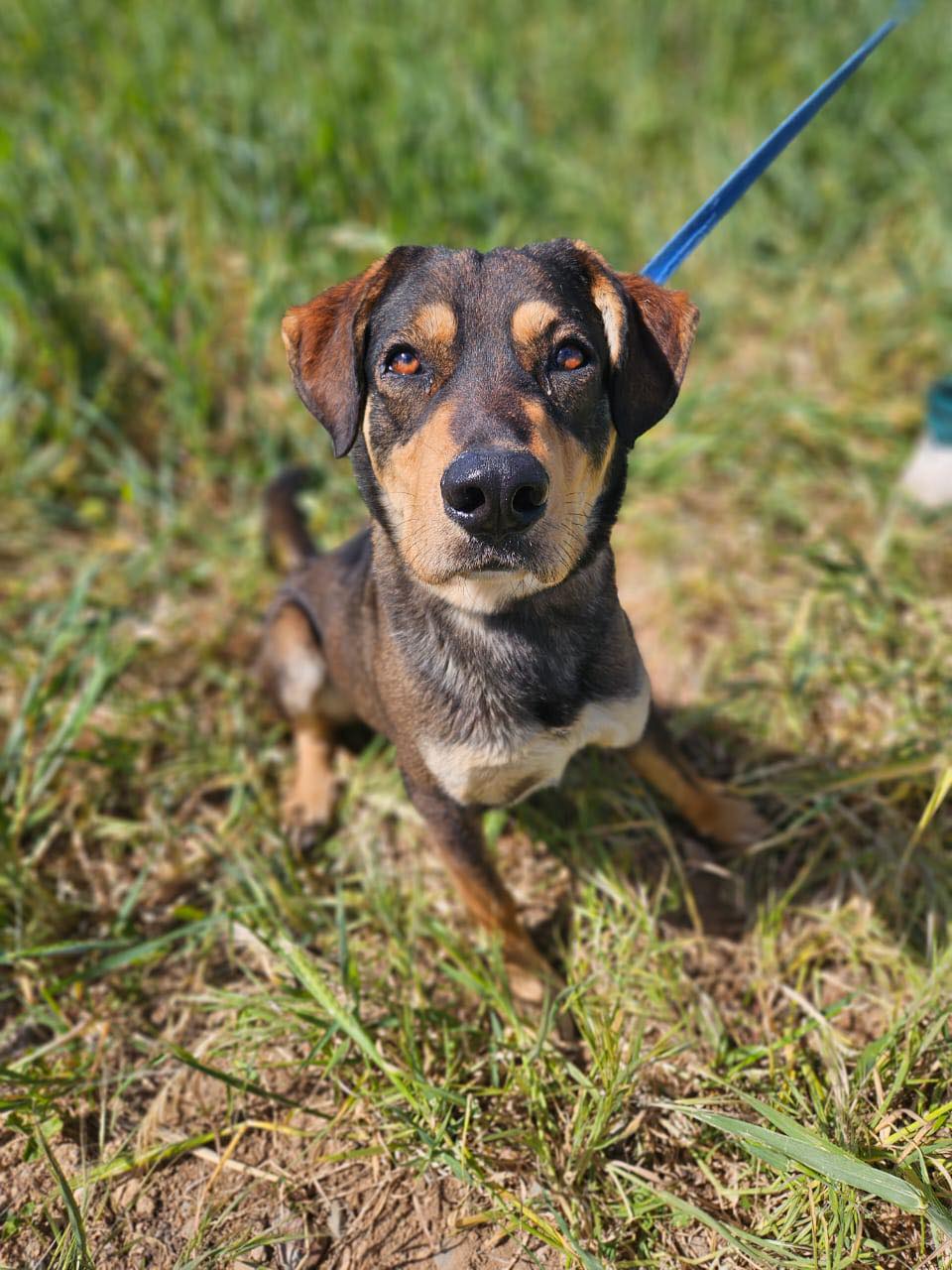 536280030_776063554936824_9036256201733827826_n