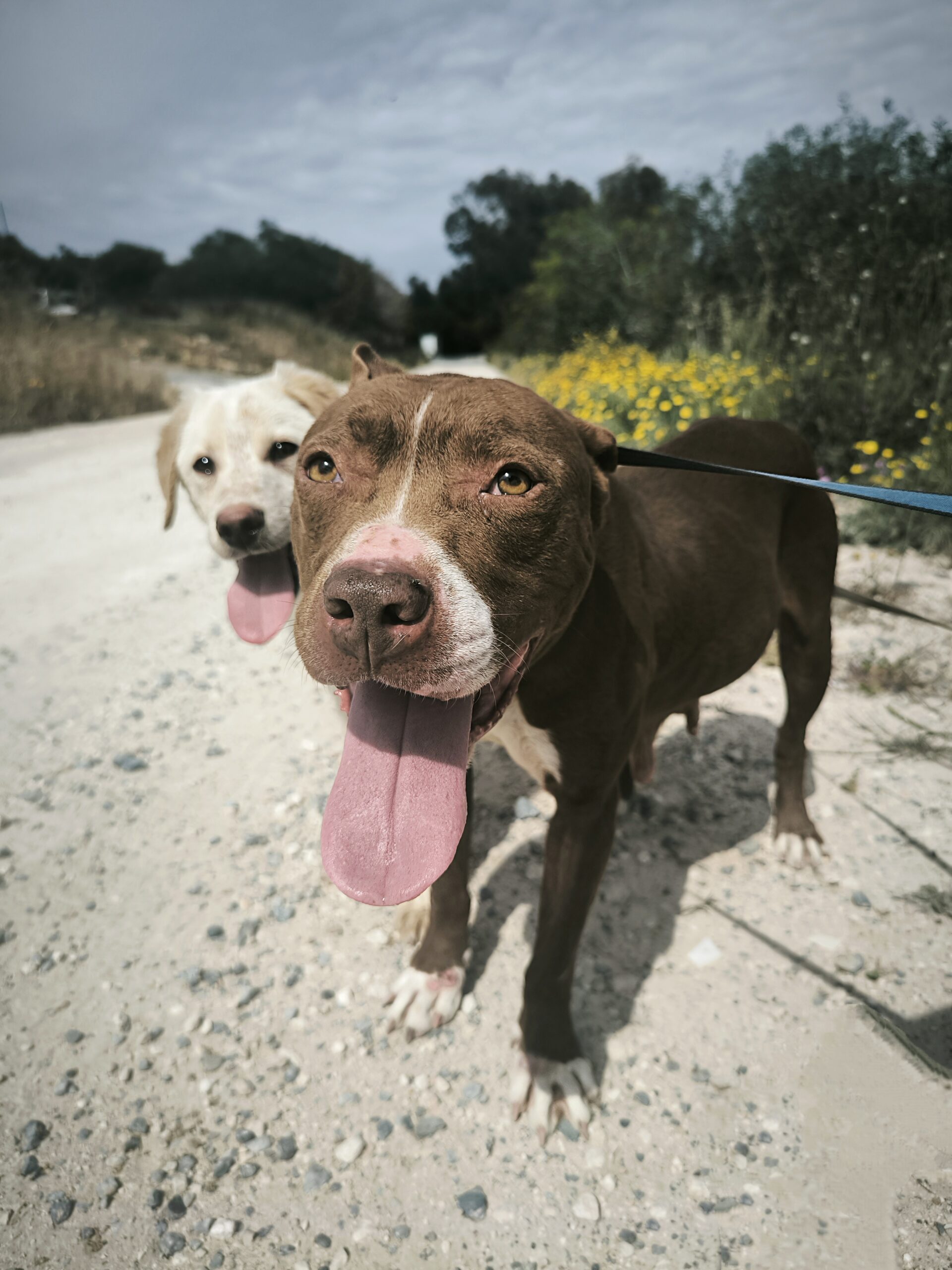 IMG_20250409_161257-scaled-1