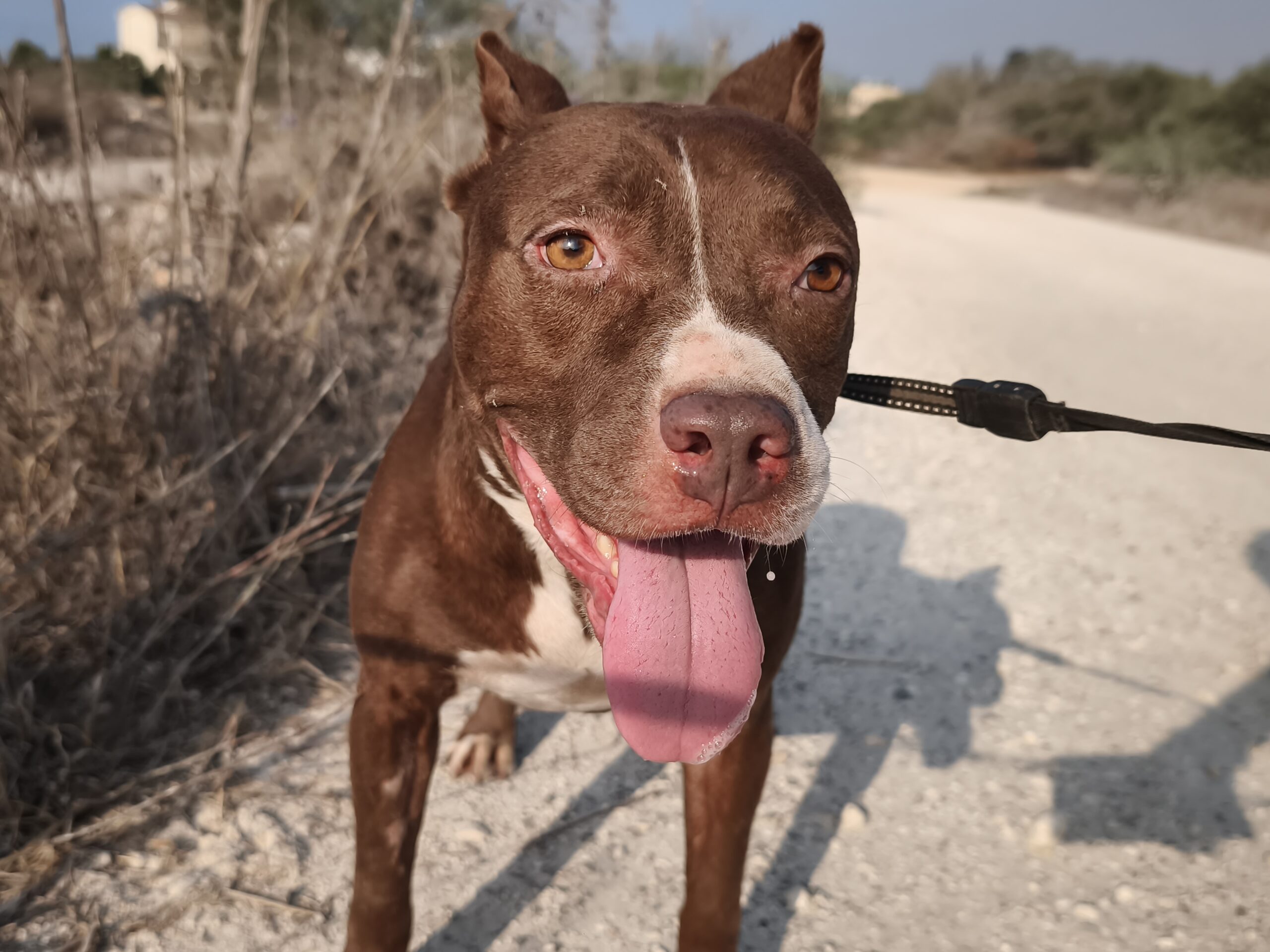 IMG_20250721_075701_1