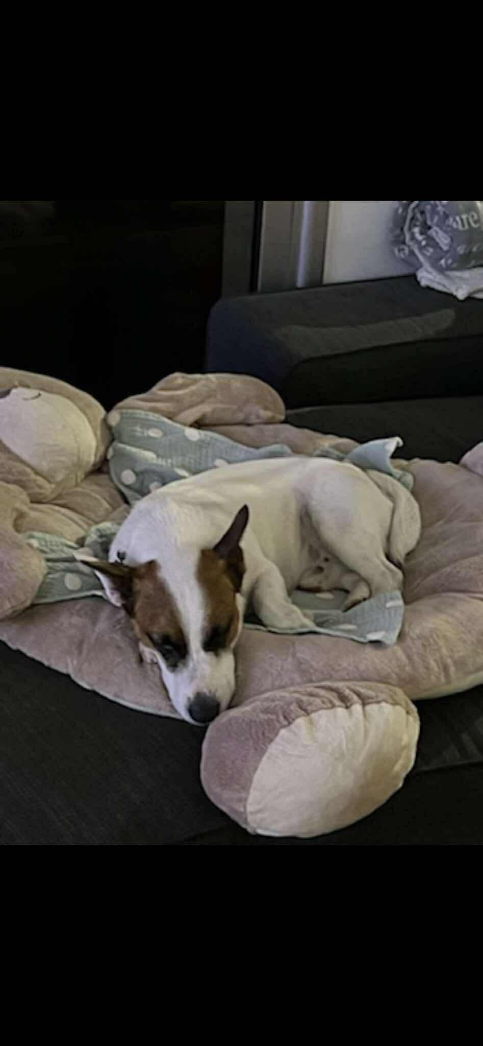 cb001ac4c8d1b02cf846e9cb1e025a68