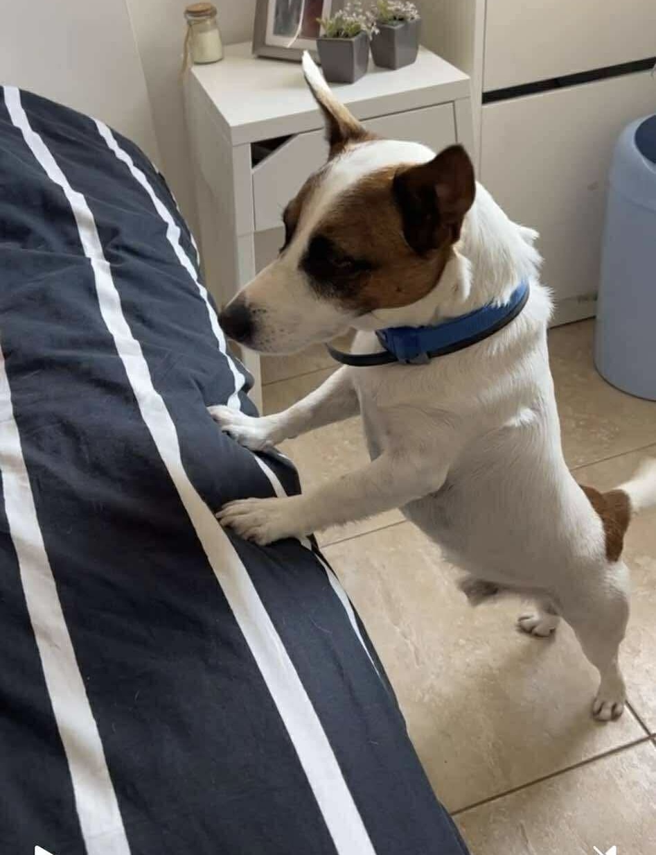 d6748a5c0b2020acfcb04ac1785fa6f7