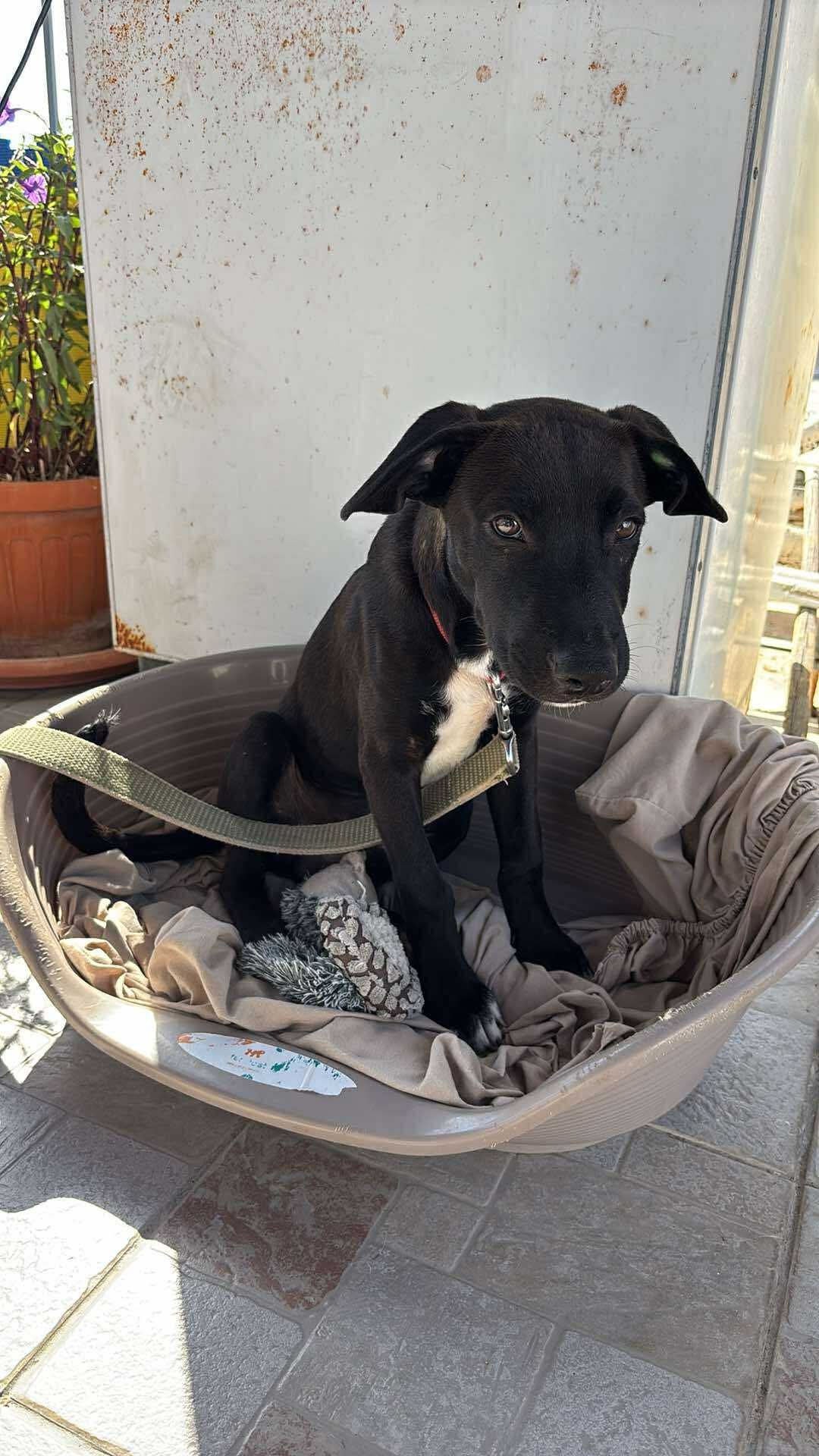 eb491d87a16aa18e778c99b7ef66d605