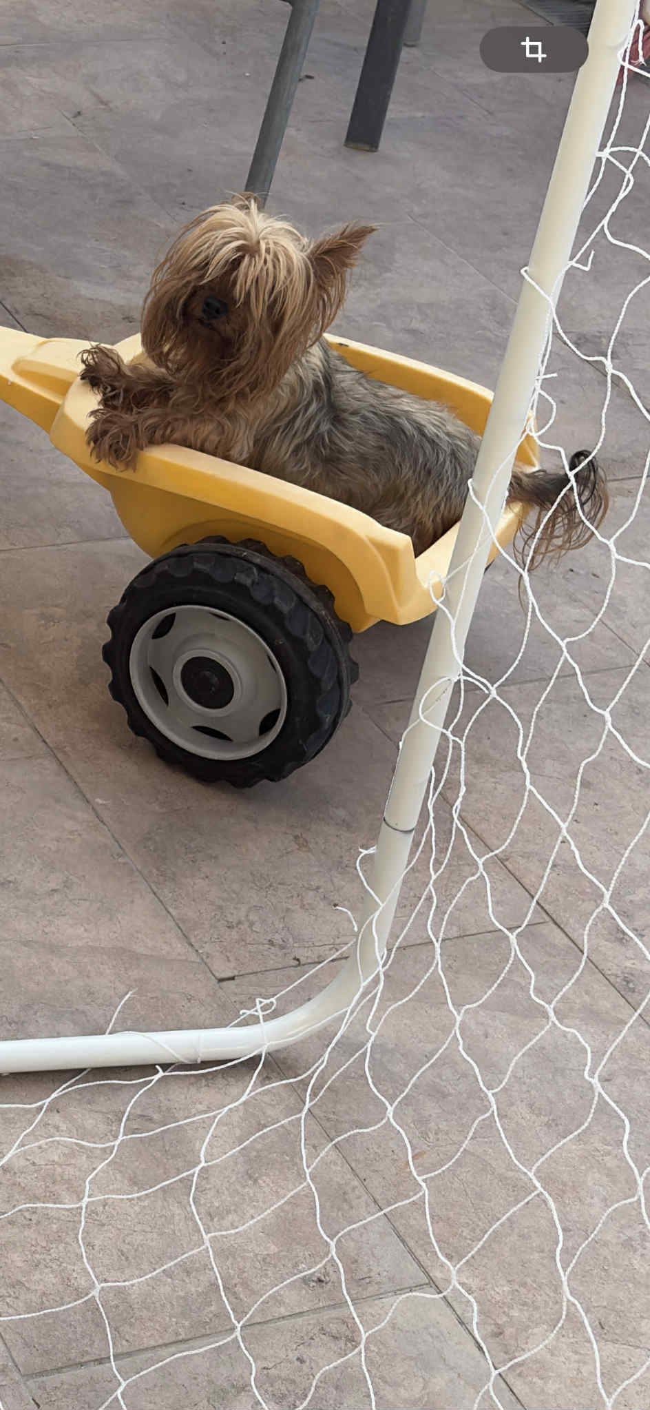 inbound2379792201785422267