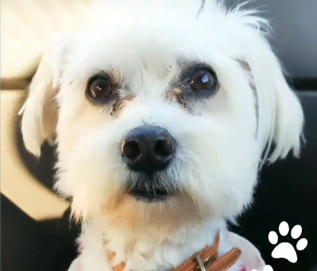 inbound8761063202101628777