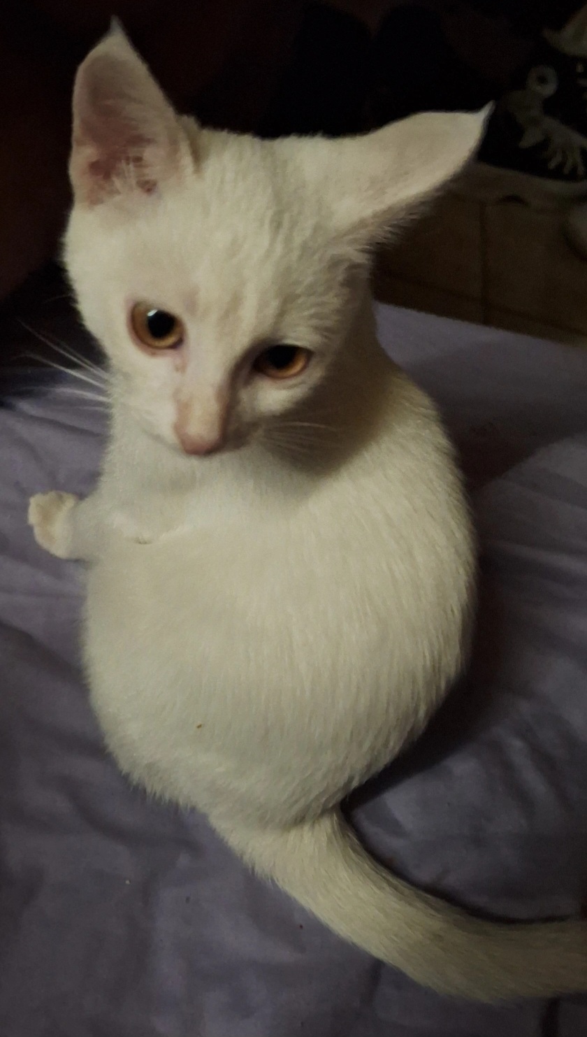 inbound969114128233611549