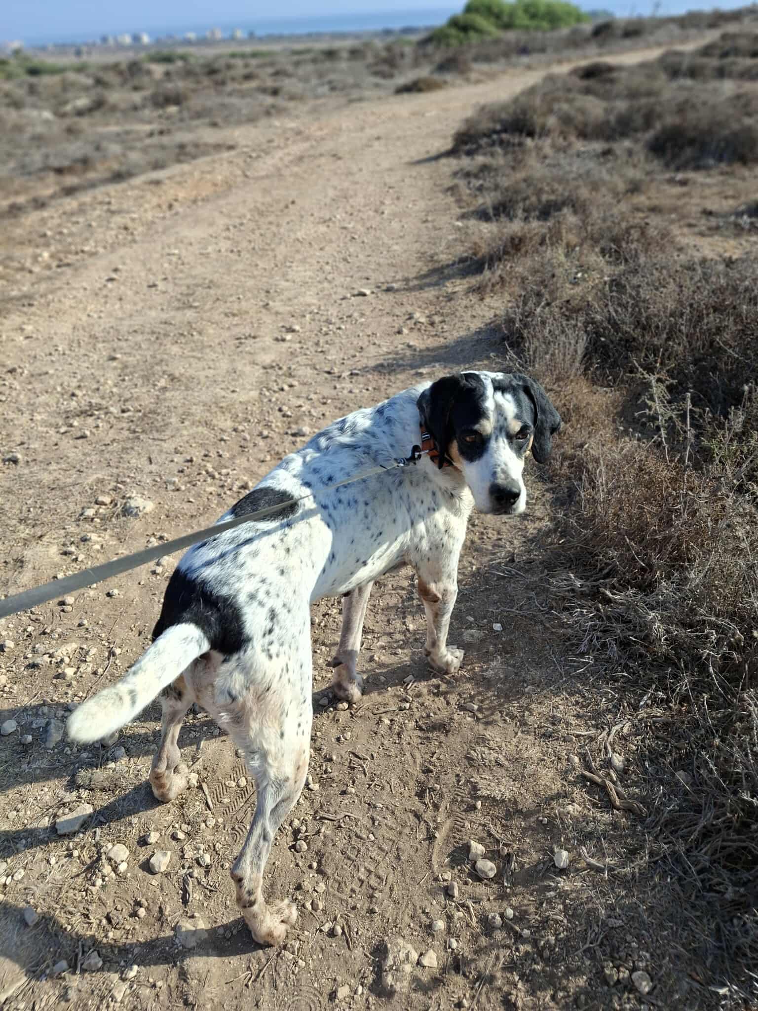 536269715_839068398443630_7769100558946060915_n