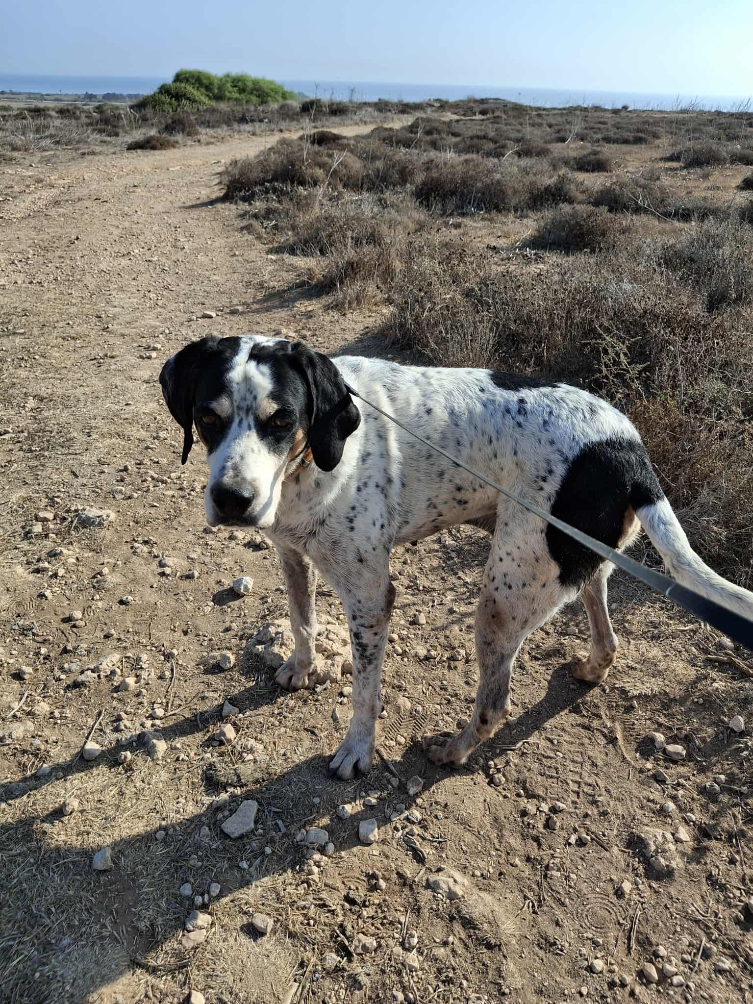 536273498_839068461776957_9179842014135367841_n