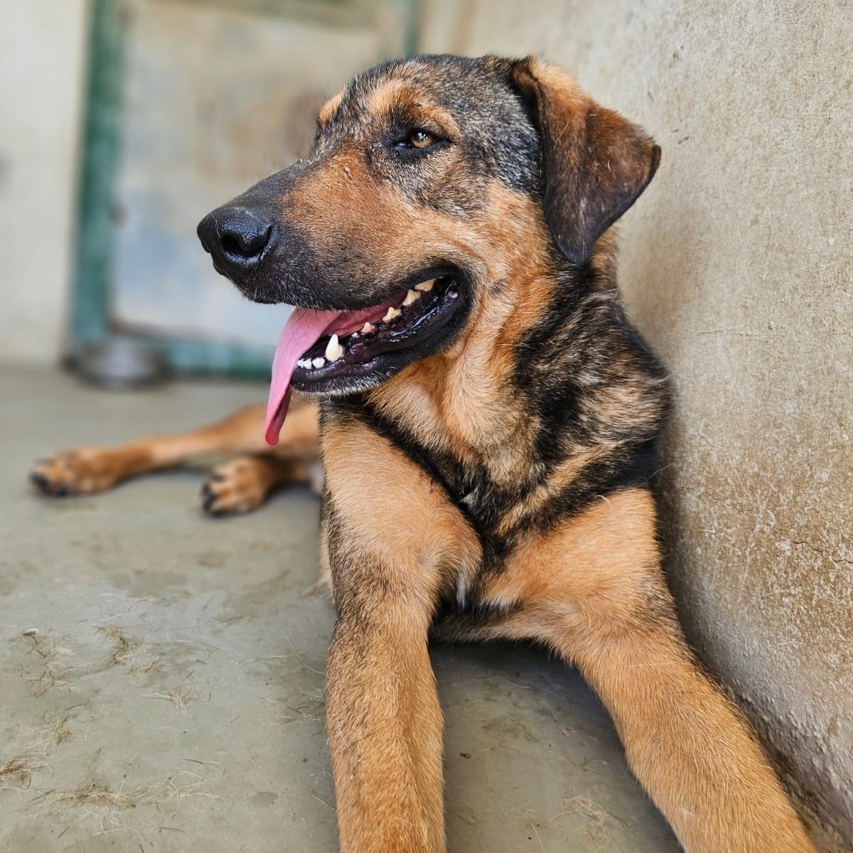 540689567_785395744003605_1896912641362554504_n