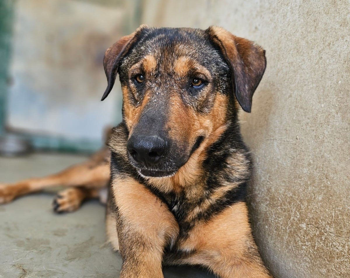 540886758_785395774003602_8399407525695706139_n