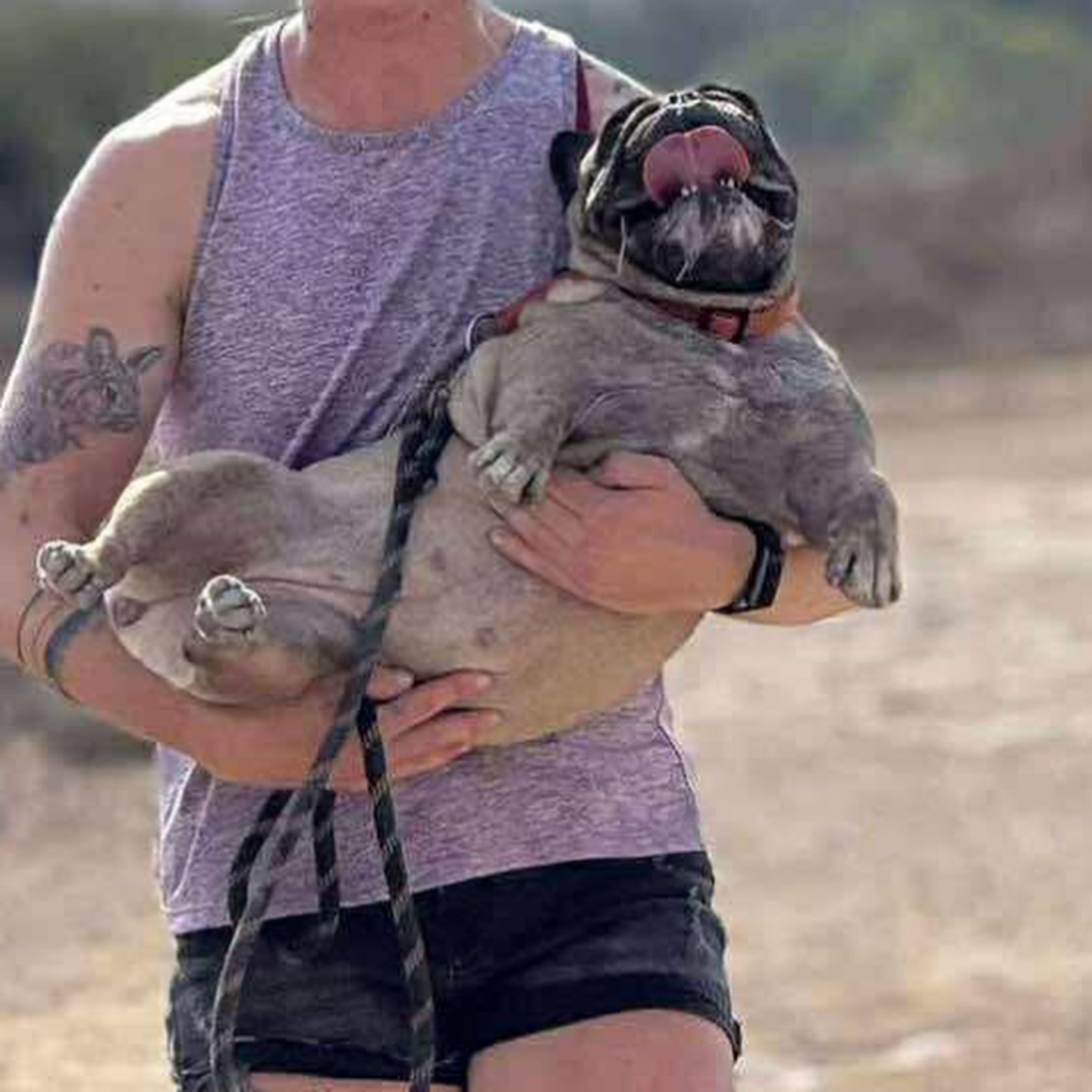 541838080_18298512043301739_5602859759285896113_n